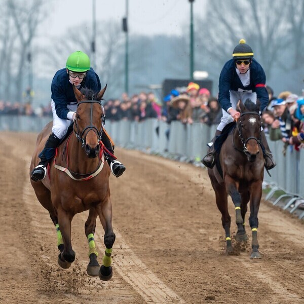 Metworstrennen maandag live bij Omroep Land van Cuijk