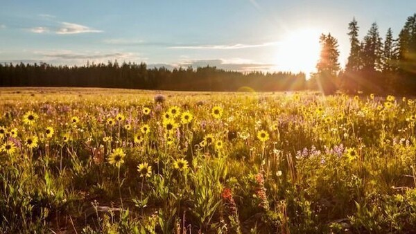 Foto: Groen Ontwikkelfonds Brabant