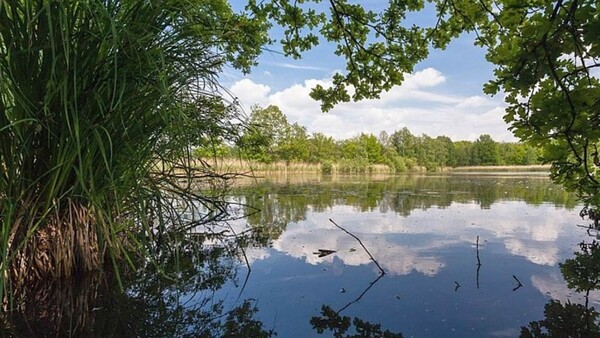 foto: Brabant.nl