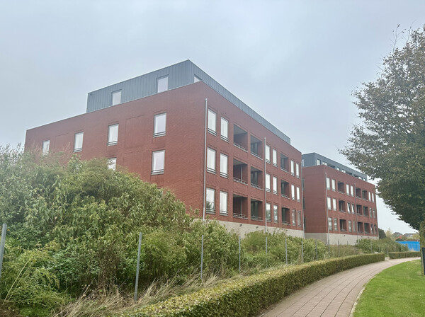 Foto: Mooiland