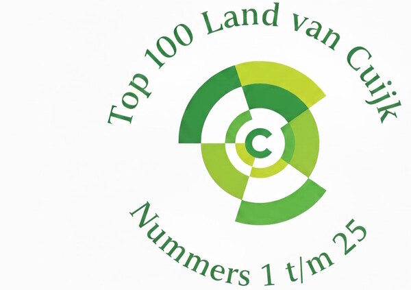 Top 100: Nummers 1 t/m 25