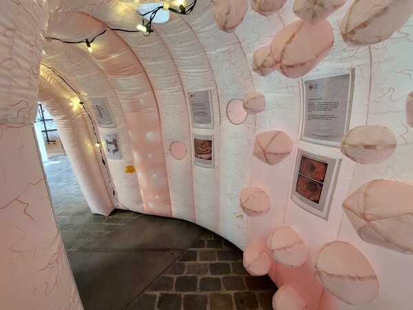 Maasziekenhuis organiseert informatiebijeenkomst over nieuwe ontwikkelingen bij darmkanker