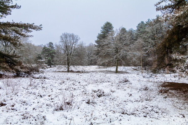 Foto: Albert Hendriks