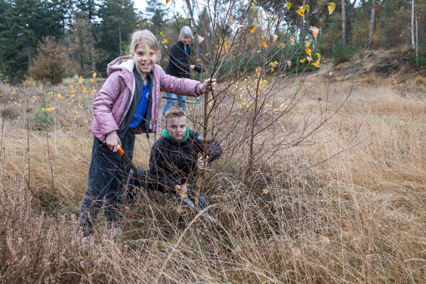 Overloonse "Bosmannen" en Scouting handen ineen voor Natuurwerkdag in Overloon