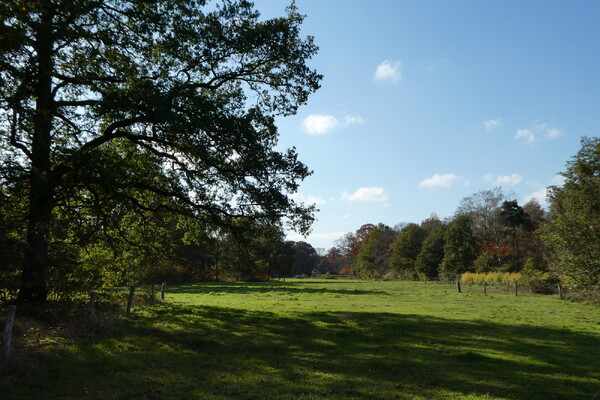 Herfstwandeling bij Bronlaak en Groote Slink 