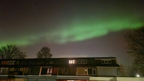 Padbroek, Cuijk (foto: Sjonny van Kempen)