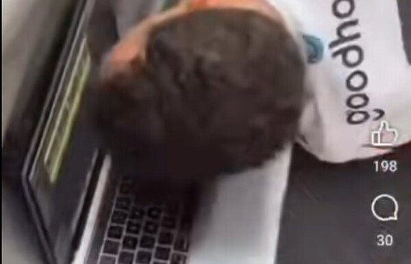 Bron: tiktok
