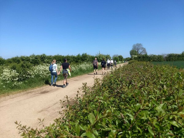 Wandeltocht door Maasheggen op 11 mei vanuit Oeffelt