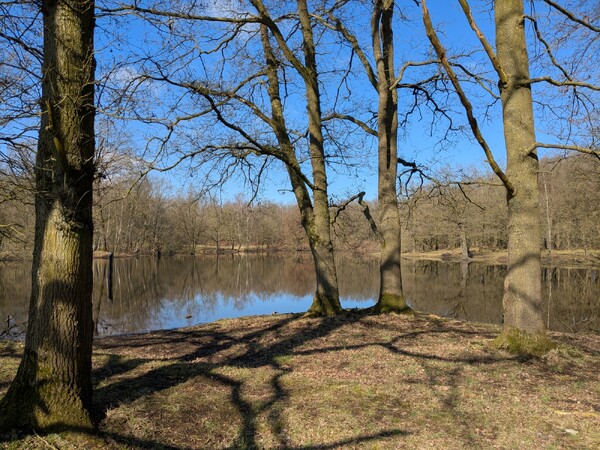 Foto: Ingrid Jenten