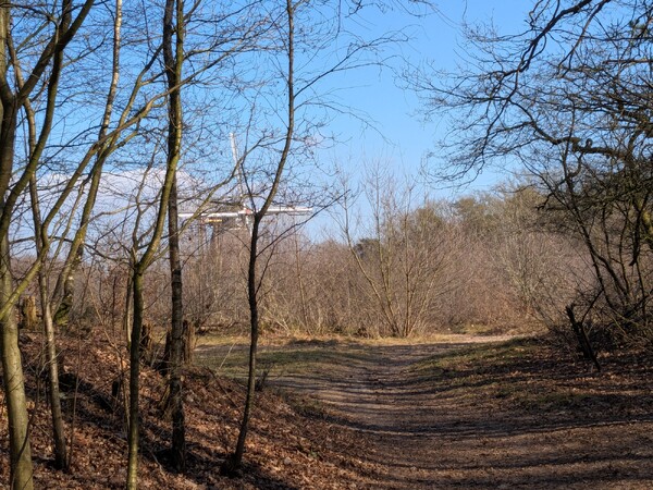 Foto: Wout van den Bosch