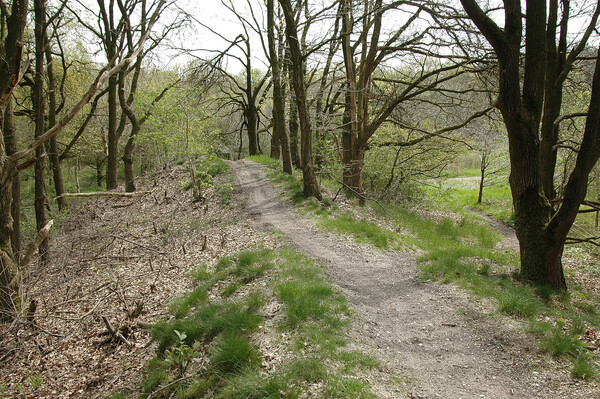 Op zoek naar de waterbron in de Reekse bossen