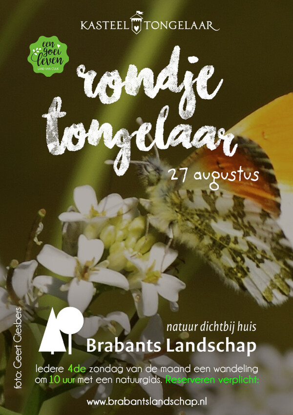 Wilde planten Eldorado op Tongelaar