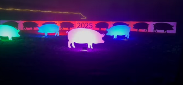 Boeren in Land van Cuijk tonen trots tijdens Verlichte Boerderijroute te midden van krimp veehouderij