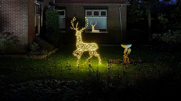 Foto: Vita Oosterling