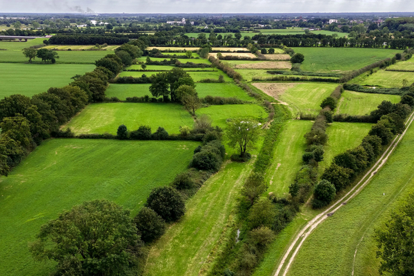 Foto: Bert Maes / Brabant.nl