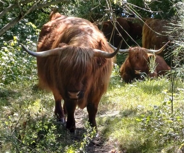 Foto: Jolwin Dobbelsteen (ter illustratie)