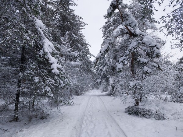 foto: Wessel Pruissen