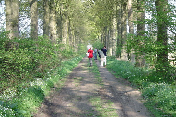 Foto: Natuurvereniging IVN Grave