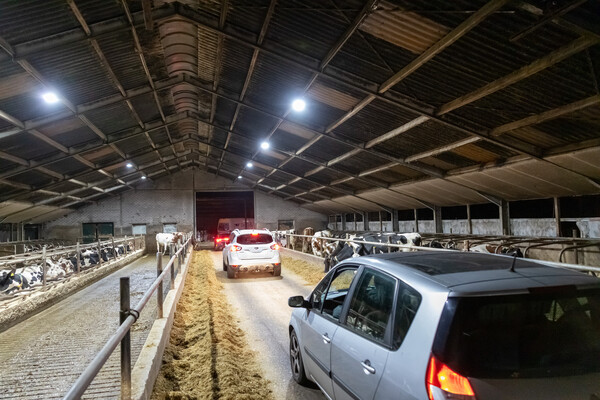 Foto: Albert Hendriks