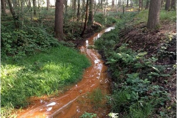 Foto: Gemeente Land van Cuijk