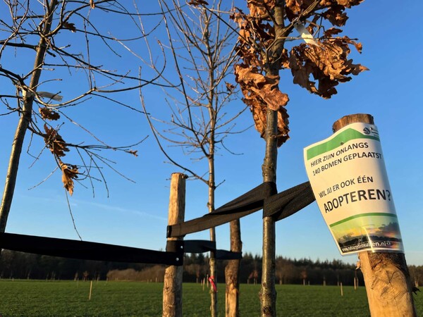 Basisschoolleerlingen planten 2.500 bomen en struiken 