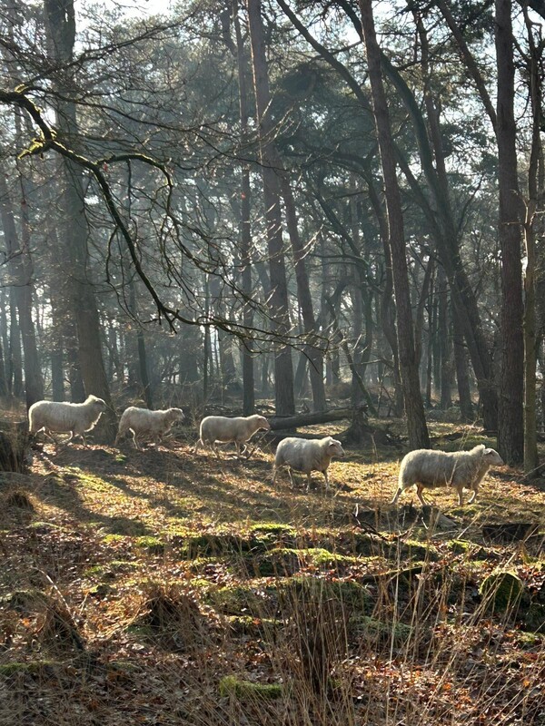Foto: Amélie van Raaij