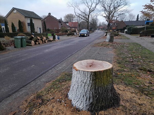 Foto: Omroep Land van Cuijk