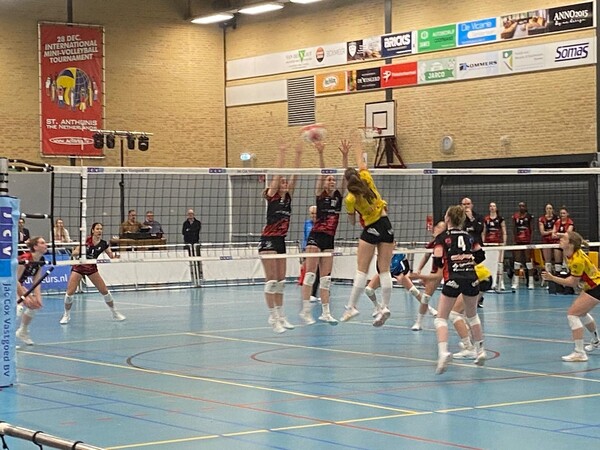 Dames Activia verliezen van Dynamo