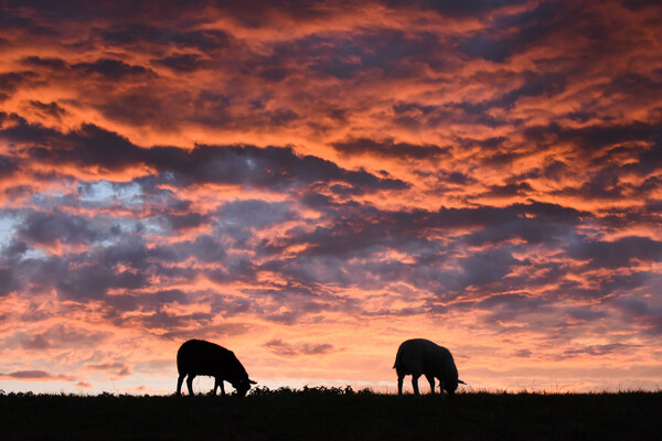 IVN-lezing over de wonderbaarlijke wereld van weer en wolken