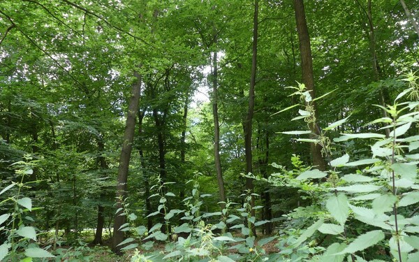 foto: Antenne Niederrhein