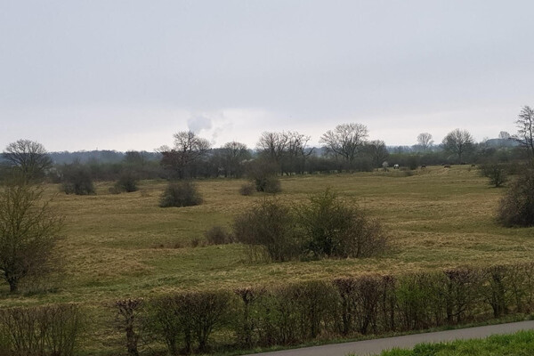 Excursie door Oeffelter Meent laat natuur en historie zien
