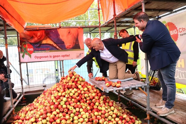Wereldrecord appelpiramide tijdens Pluk en Oogstfeest in Mill