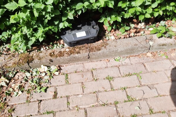 Rattenoverlast in Padbroek aangepakt met vallen en bakken