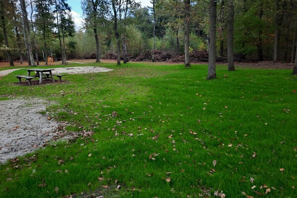 Werk aan speelbos bij Landhorst tijdelijk stilgelegd