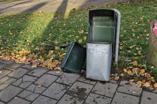 Vuurwerkangst houdt wijk Heeswijkse Kampen wakker: 'Mijn hond zat verscholen achter het toilet'