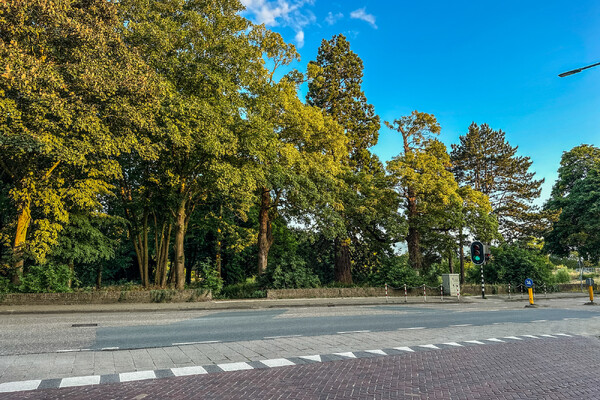 Vestingpark in Grave blijft steken in plannen: mammoetboom middelpunt van discussie