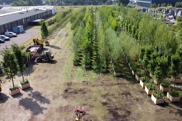 'Militaire operatie' voor Ebben: 785 bomen over de snelweg voor óp de snelweg