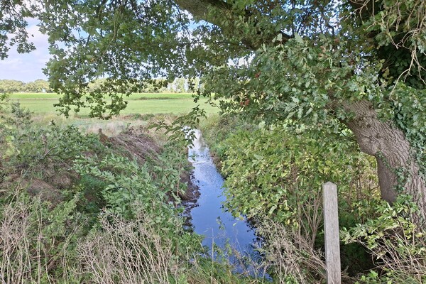 Tweede fase beekherstel Campagnebeek van start