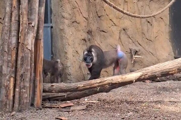 Land van Cuijk sluit aan bij regionaal plan voor recreatie en toerisme