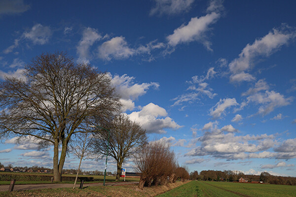 Frisse winterweek in het Land van Cuijk: kou, zon en natuur om van te genieten