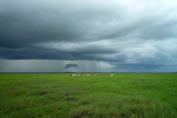 Boeren in Brabant krijgen drie maanden extra voor stikstofvergunning