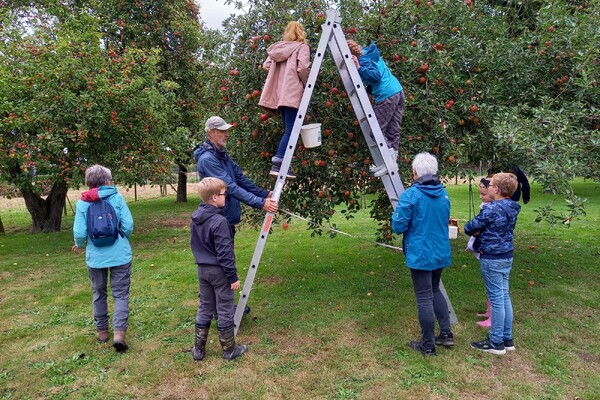 IVN-jeugd leert over fruit en natuur in Holthees