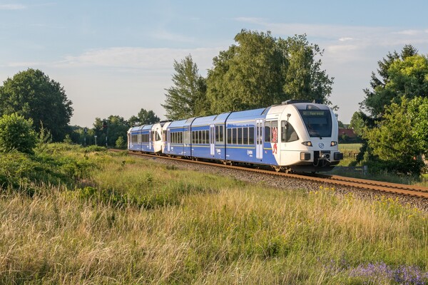 Dassenbestrijding Maaslijn kost ProRail miljoenen