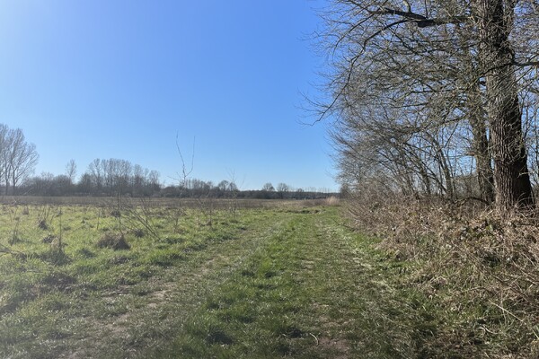 Internationale Dag van het Bos: Beheerder Gijs Looijen over natuurbeheer op Landgoed Tongelaar