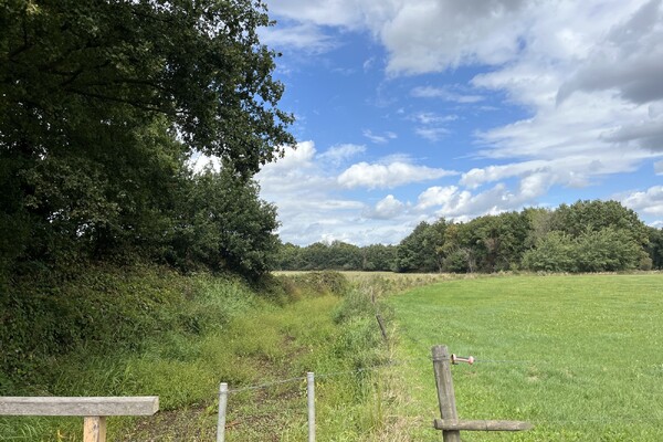 Natuur te koop in Raamvallei: beken krijgen slinger terug, gronden gaan naar nieuwe eigenaren
