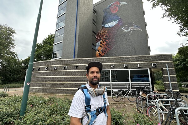 Cuijkse flats krijgen 22 meter hoge muurschilderingen van lokale kunstenaar