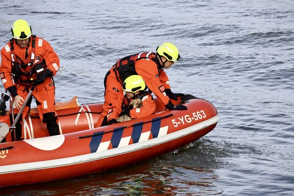 Brandweer redt hond uit Sambeekse uitwaterkering