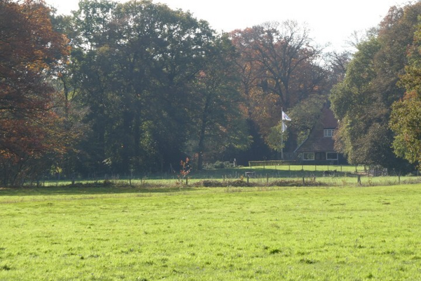 Herfstwandeling bij Bronlaak en De Groote Slink in Oploo