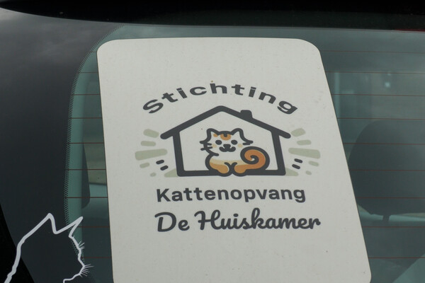 Cuijkse kattenopvang krap bij kas: vrijwilligers collecteren in Padbroek