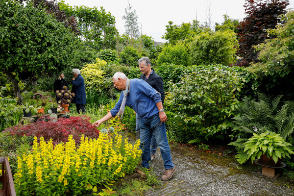 Open Tuinenweekend in Land van Cuijk en Limburg-Noord op 21 en 22 juni